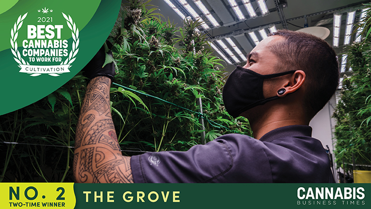 Careers - The Grove Cannabis Dispensary